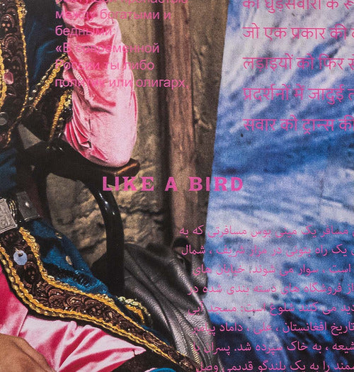 Cover of Like a bird. Circus