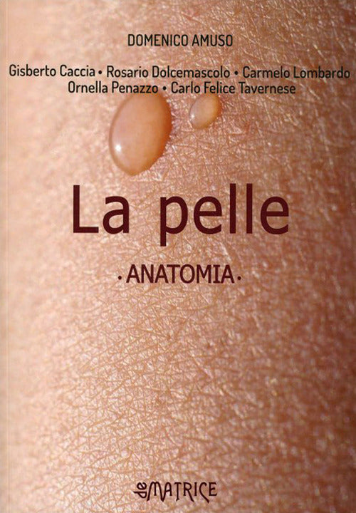 Cover of pelle. Anatomia
