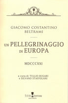 Cover of pellegrinaggio in Europa