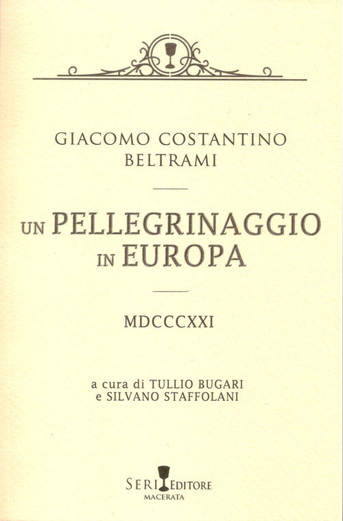 Cover of pellegrinaggio in Europa