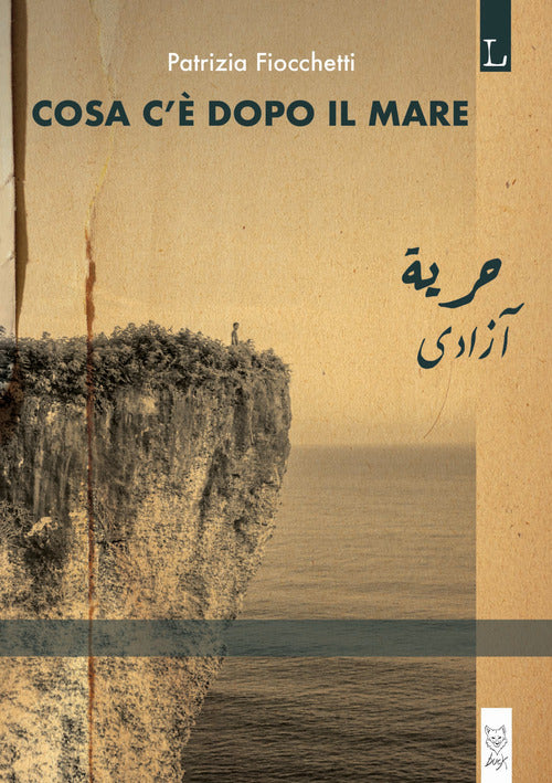 Cover of Cosa c'è dopo il mare