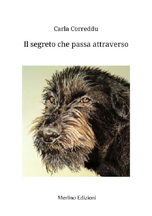 Cover of segreto che passa attraverso