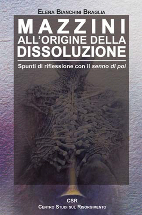 Cover of Mazzini all'origine della dissoluzione. Spunti di riflessione con il senno di poi