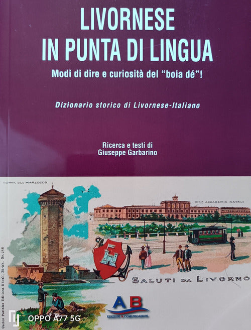 Cover of Livornese in punta di lingua. Modi di dire e curiosità del «boia dé»