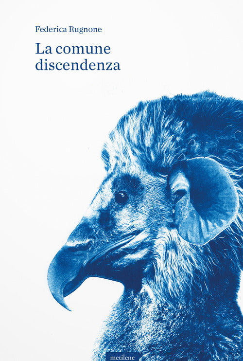 Cover of comune discendenza