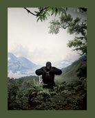 Cover of Zoology. Benvenuti nel regno animale