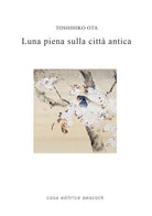 Cover of Luna piena sulla città antica