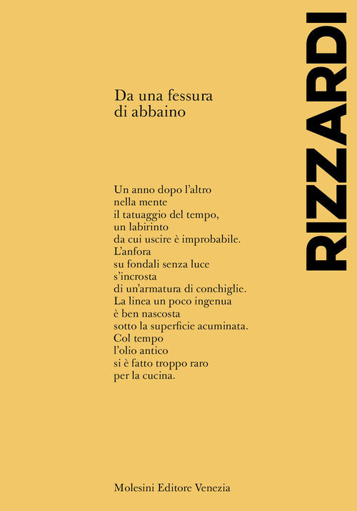 Cover of Da una fessura di abbaino