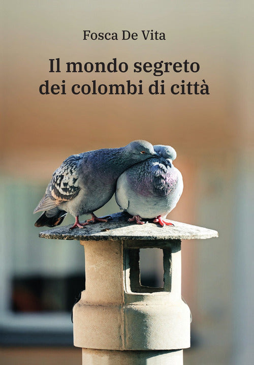 Il mondo segreto dei colombi di citt