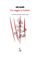 Cover of viaggio in Umbria