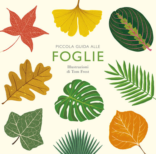 Cover of Piccola guida alle foglie