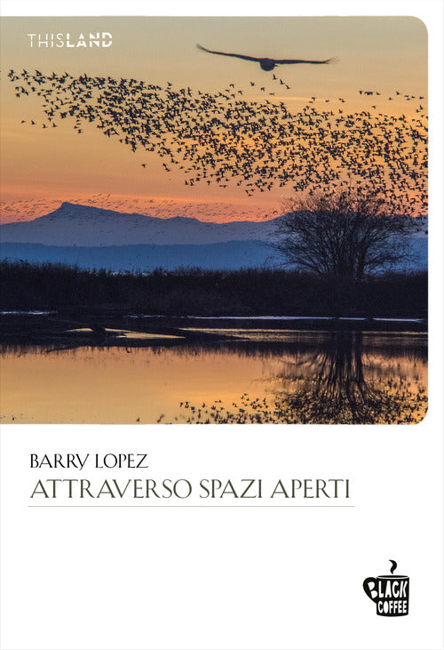 Cover of Attraverso spazi aperti