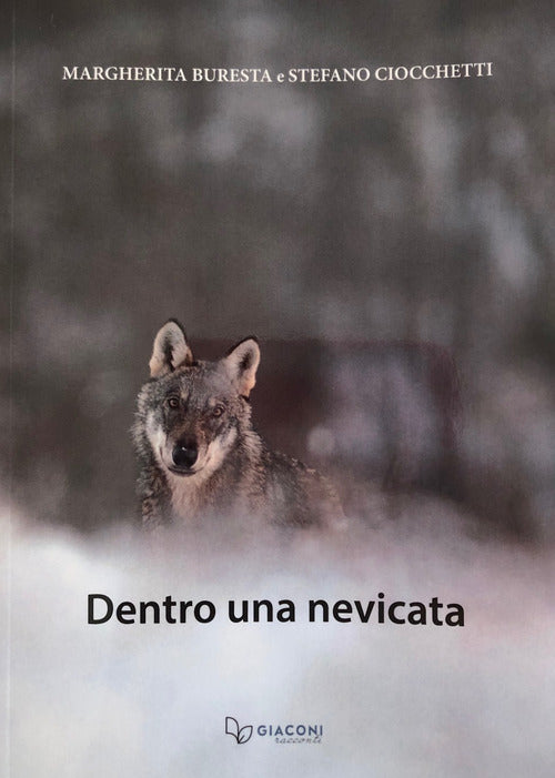 Cover of Dentro una nevicata