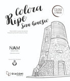 Cover of Colora Ripe San Ginesio. Ediz. italiana e inglese