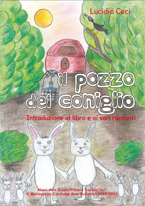 Cover of pozzo del coniglio. Introduzioni al libro e ai vari racconti