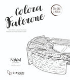 Cover of Colora Falerone. Ediz. italiana e inglese