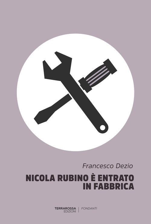 Cover of Nicola Rubino è entrato in fabbrica