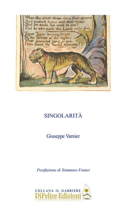 Cover of Singolarità