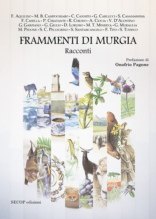 Cover of Frammenti di Murgia