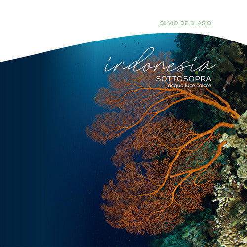 Cover of Indonesia sottosopra