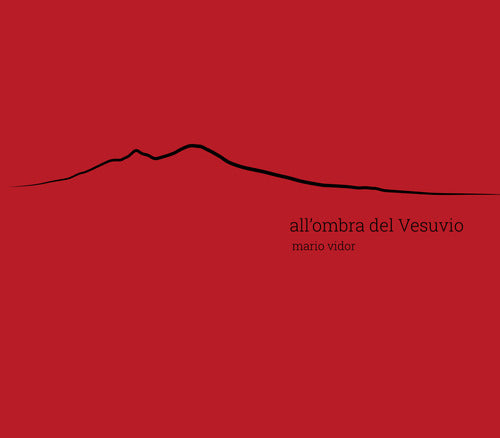 Cover of All'ombra del Vesuvio. Ediz. italiana e inglese