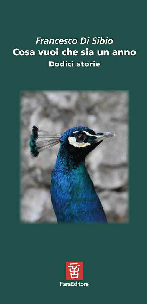 Cover of Cosa vuoi che sia un anno. Dodici storie