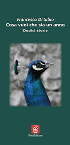 Cover of Cosa vuoi che sia un anno. Dodici storie