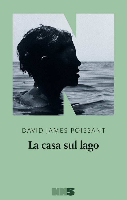 Cover of casa sul lago