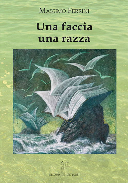 Cover of faccia una razza