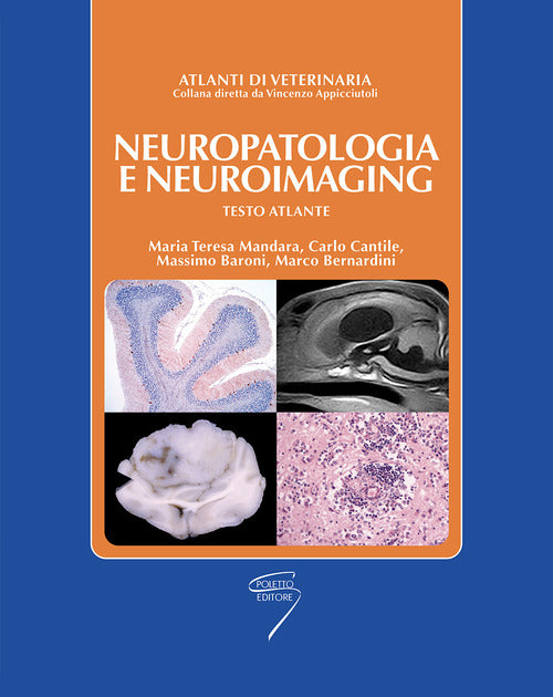Cover of Nuropatologia e neuroimaging. Testo atlante