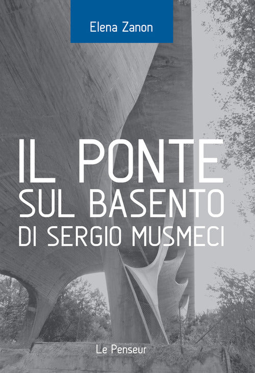 Cover of Ponte sul Basento di Sergio Musmeci