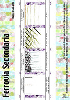 Cover of Ferrovia secondaria