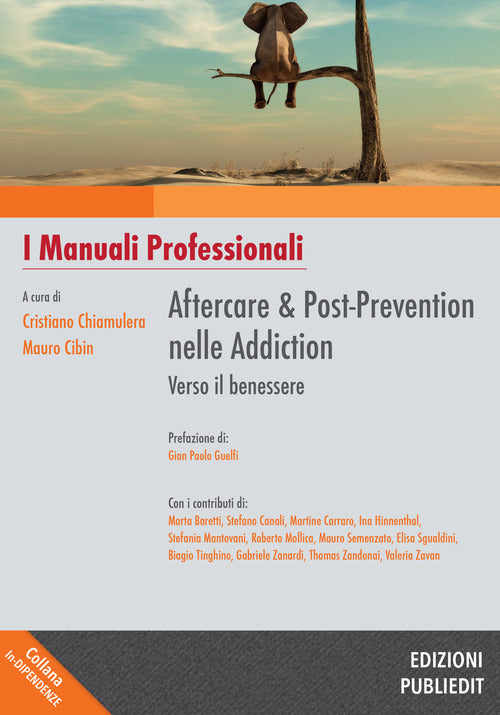 Cover of Aftercare & Post-prevention nelle Addiction: verso il benessere. I manuali professionali