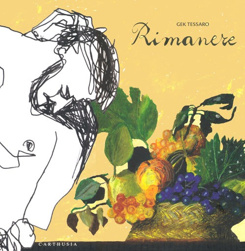 Cover of Rimanere