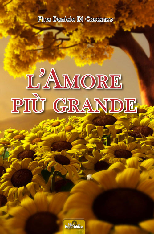 Cover of amore più grande