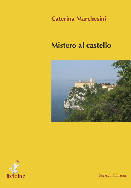 Cover of Mistero al castello