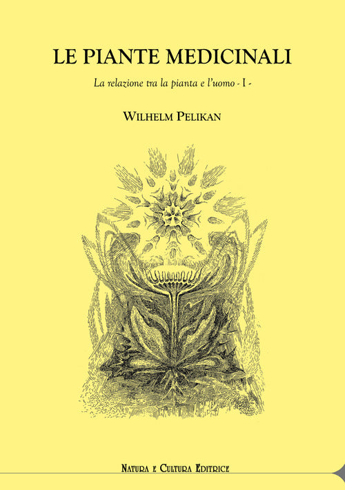 Cover of piante medicinali. La relazione tra la pianta e l’uomo