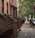 Cover of Immagini di New York 1994-2006
