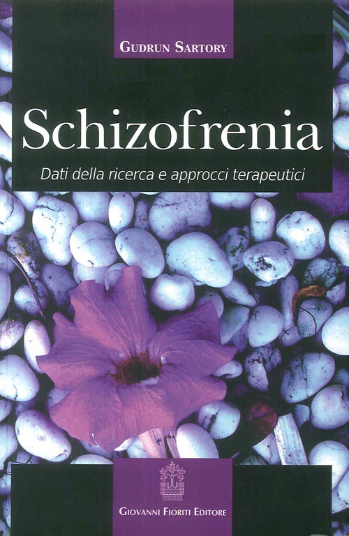 Cover of Schizofrenia. Dati della ricerca e approcci terapeutici