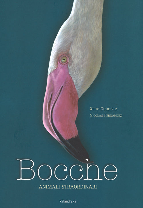 Cover of Bocche