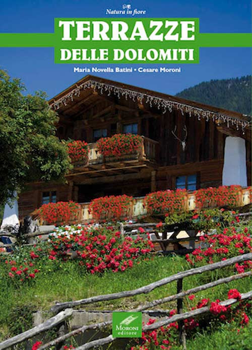 Cover of Terrazze delle Dolomiti