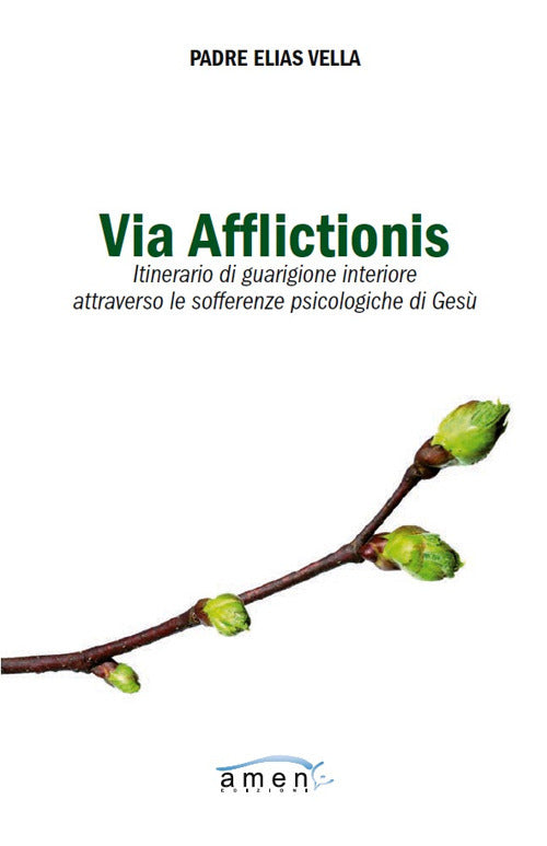 Cover of Via afflictionis. Itinerario di guarigione interiore attraverso le sofferenze psicologiche di Gesù