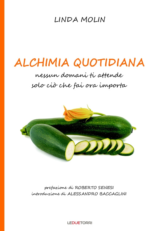 Cover of Alchimia quotidiana. Nessun domani ti attende solo ciò che fai ora importa