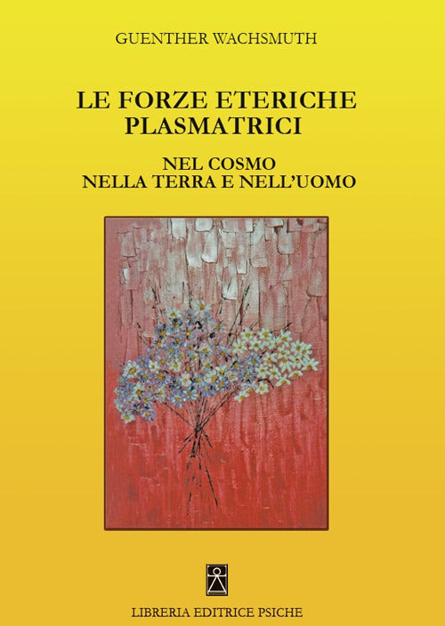 Cover of forze eteriche plasmatrici. Nel cosmo nella terra e nell’uomo
