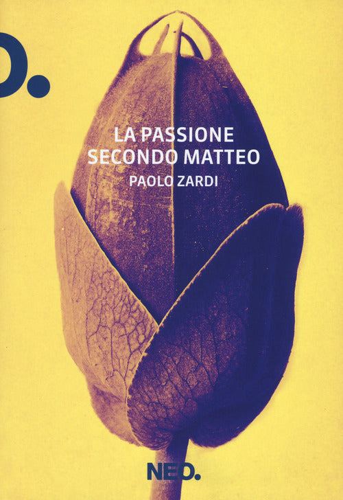 Cover of passione secondo Matteo
