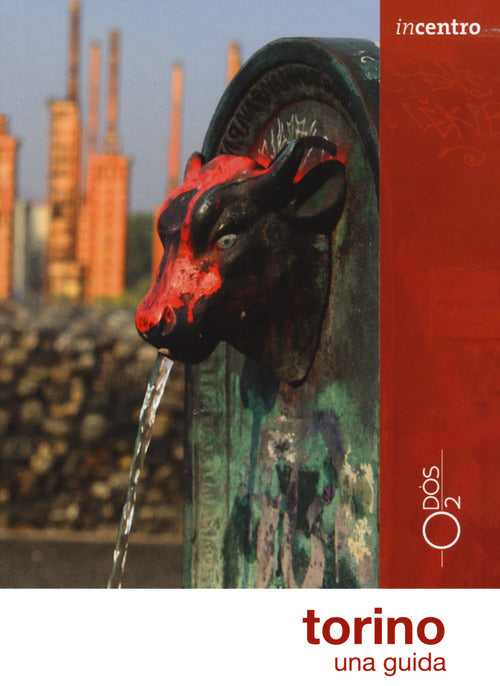Cover of Torino. Una guida