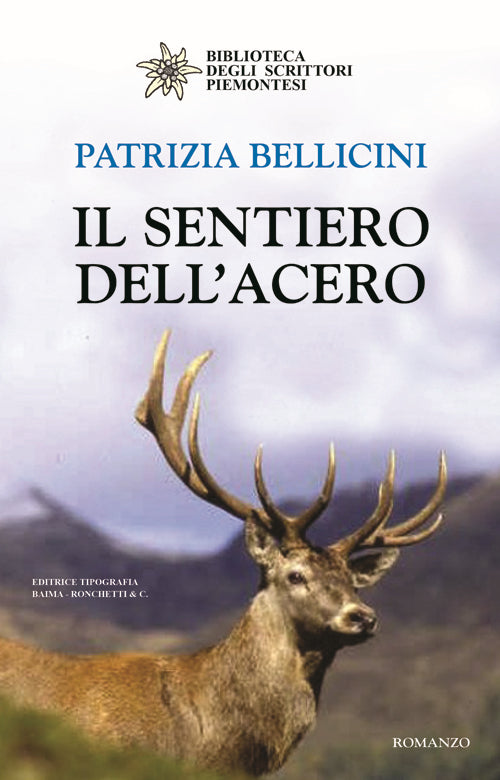 Cover of sentiero dell'acero