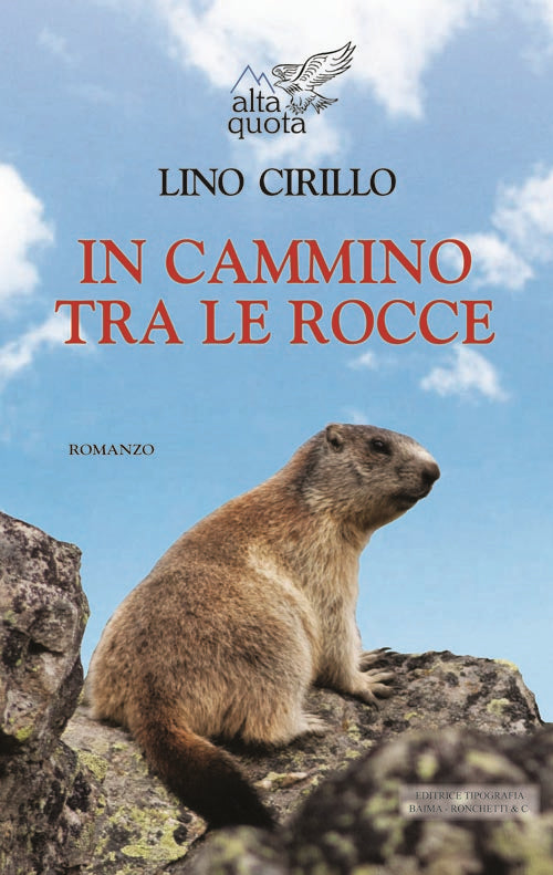 Cover of In cammino tra le rocce