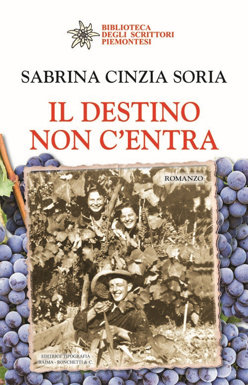 Cover of Il destino non c'entra