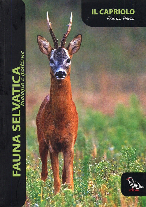 Cover of capriolo